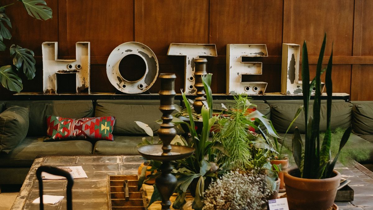 Understanding Hotel Star Ratings and Guest Reviews